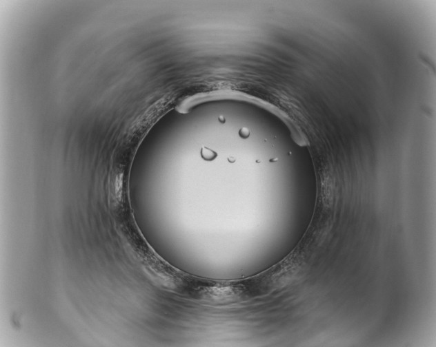 X0000101180406200807071250