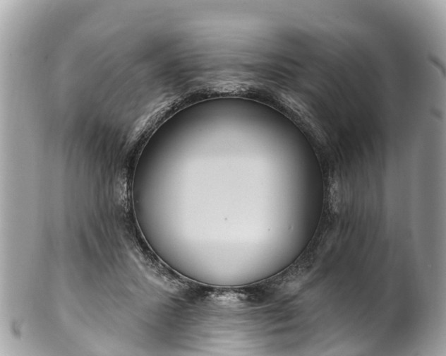 X0000101180407200807071250