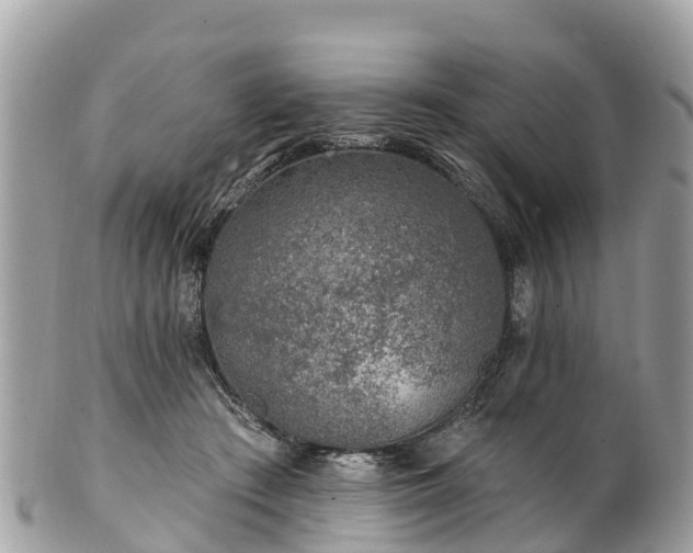 X0000101180409200807071250