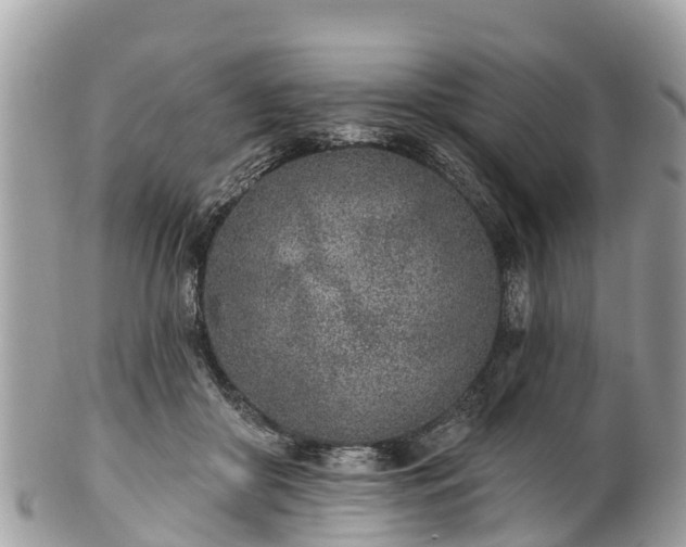 X0000101180410200807071250