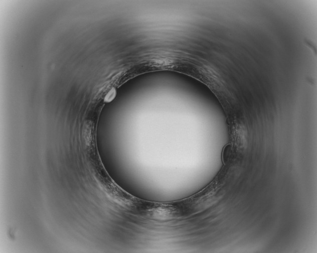 X0000101180412200807071250
