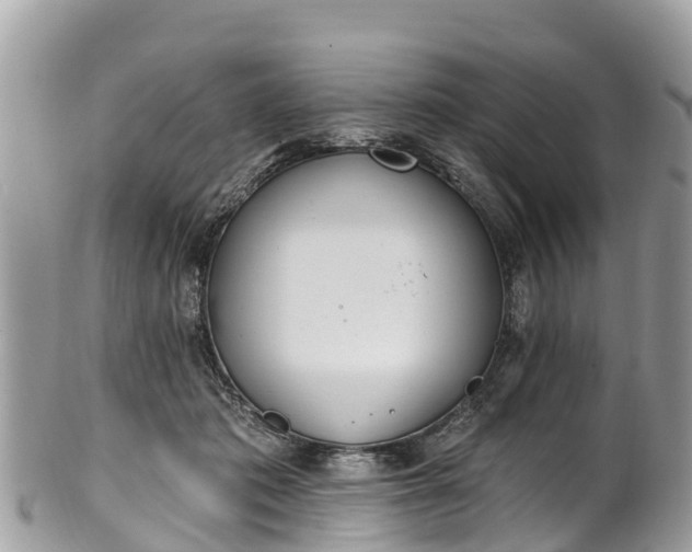 X0000101180413200807071250