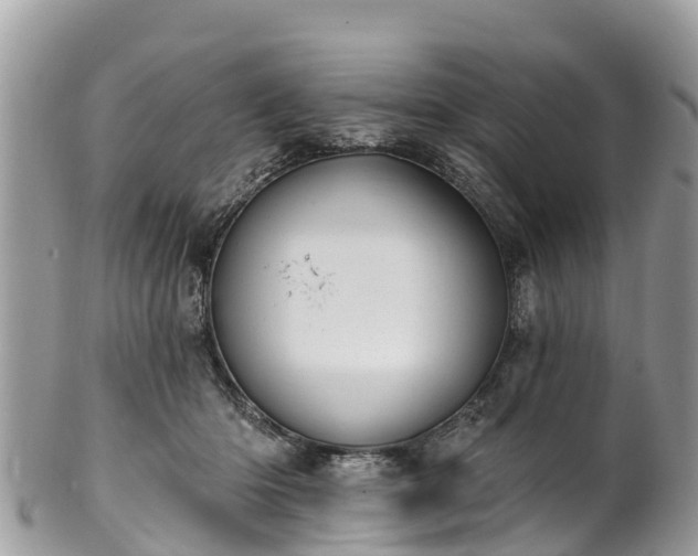 X0000101180414200807071250