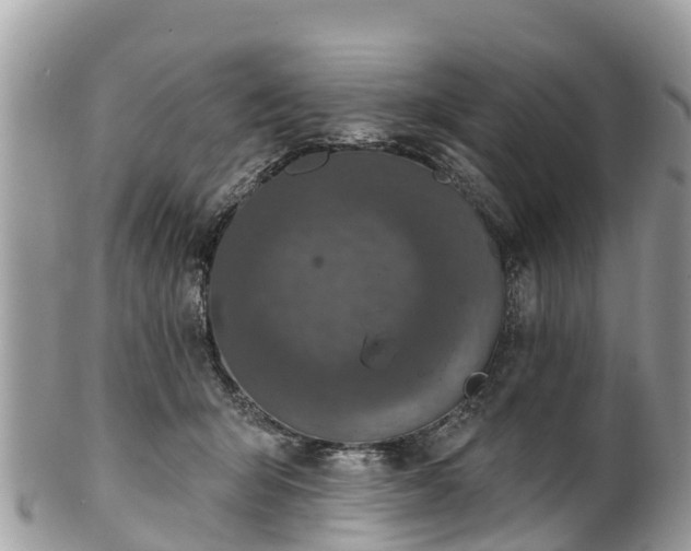 X0000101180415200807071250