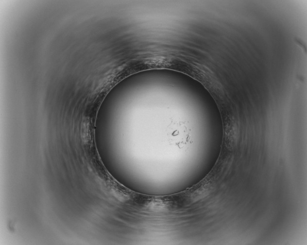 X0000101180416200807071250