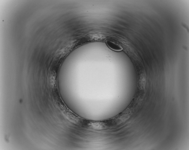 X0000101180417200807071250