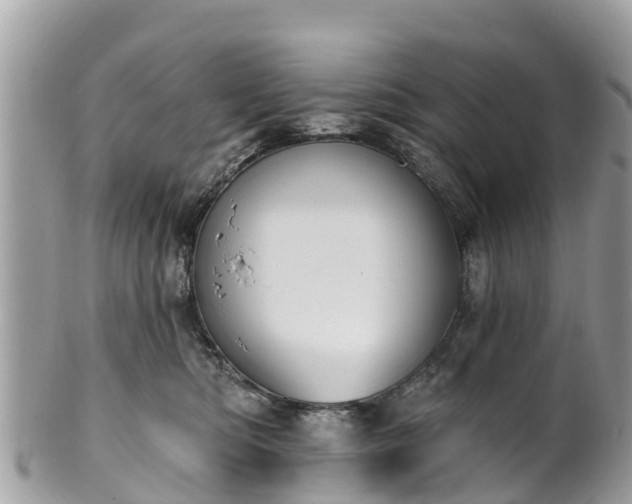 X0000101180422200807071250