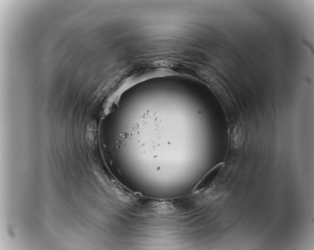X0000101180424200807071250