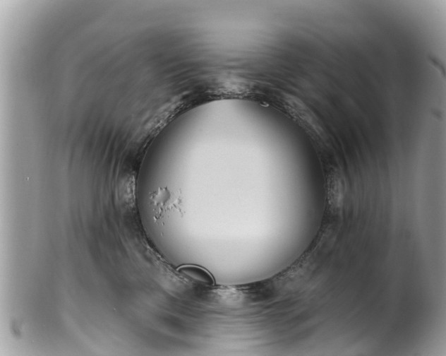 X0000101180425200807071250