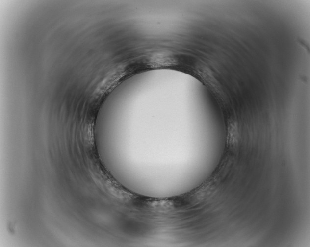 X0000101180426200807071250