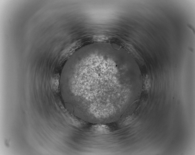 X0000101180427200807071250