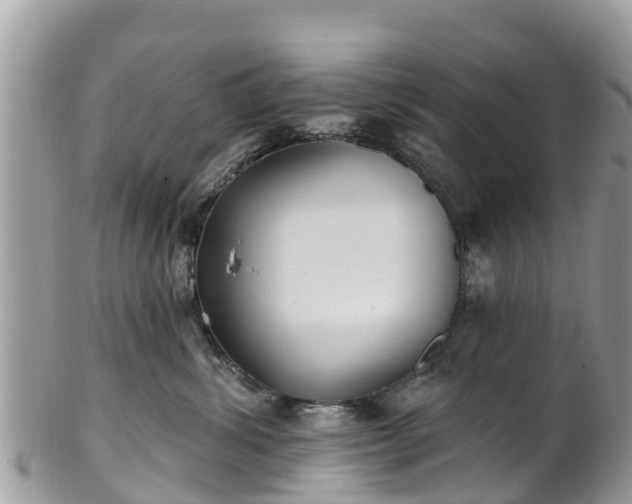 X0000101180428200807071250