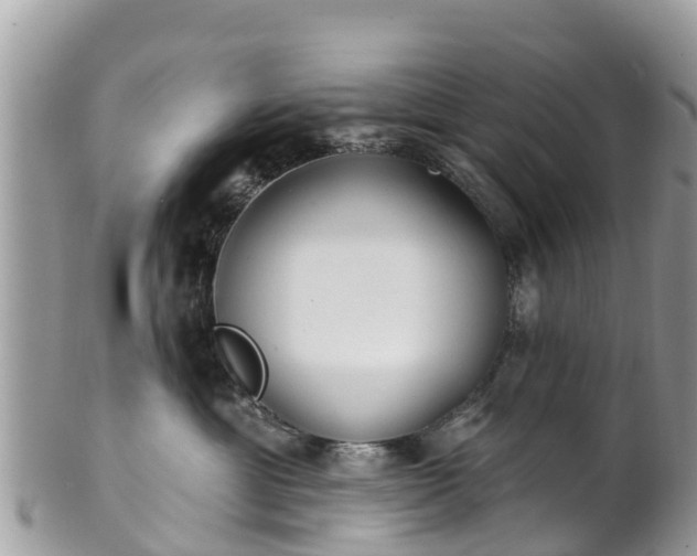 X0000101180429200807071250