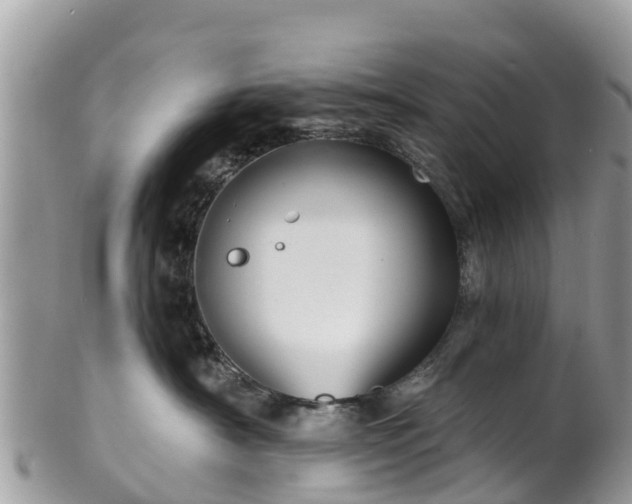 X0000101180430200807071250