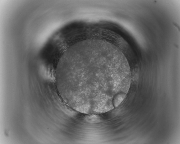 X0000101180431200807071250