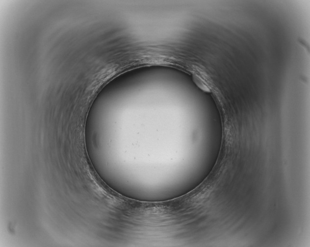 X0000101180433200807071249