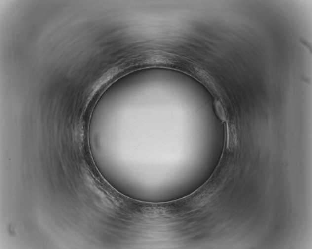 X0000101180435200807071249