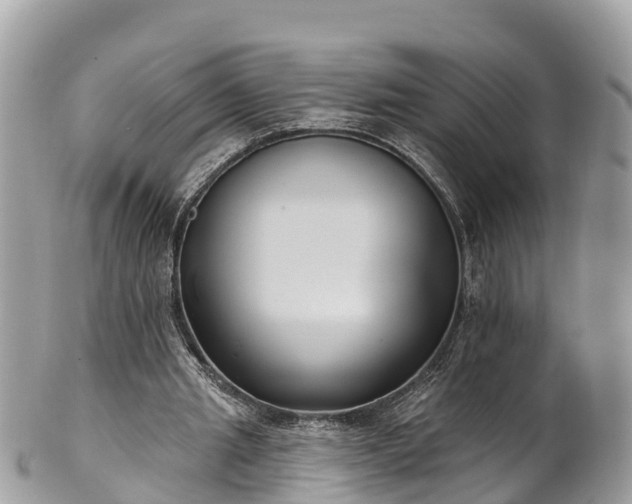 X0000101180437200807071249