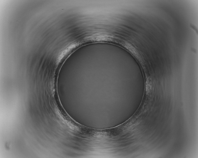 X0000101180438200807071249