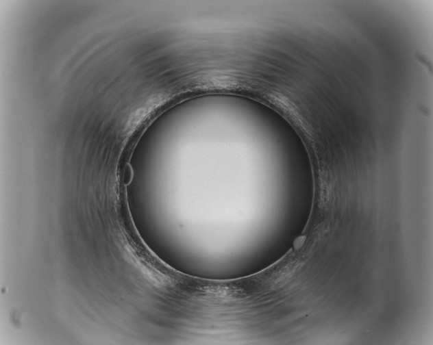 X0000101180439200807071249
