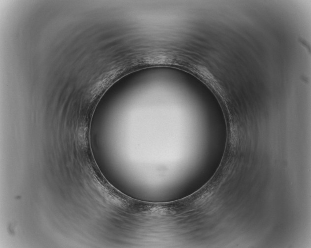 X0000101180441200807071249
