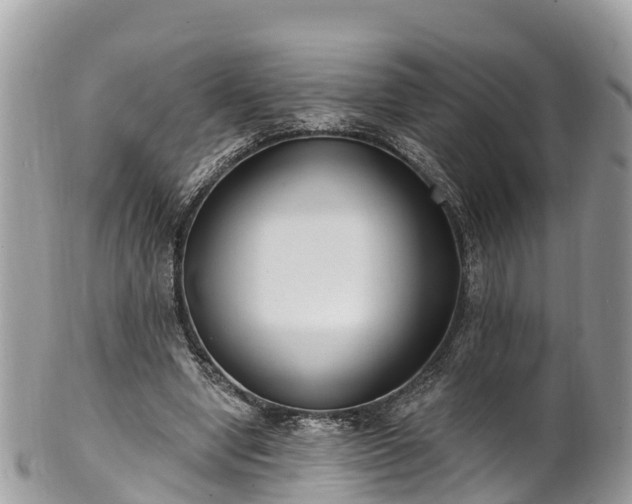 X0000101180442200807071249