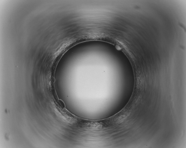 X0000101180443200807071249