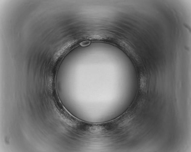 X0000101180444200807071249