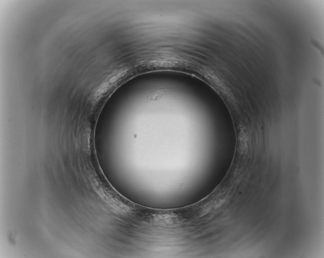X0000101180446200807071249