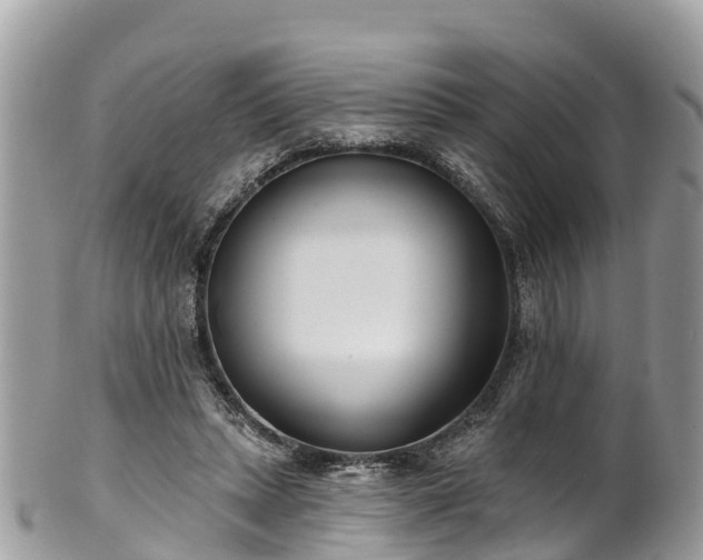 X0000101180447200807071249