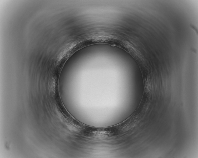 X0000101180448200807071249