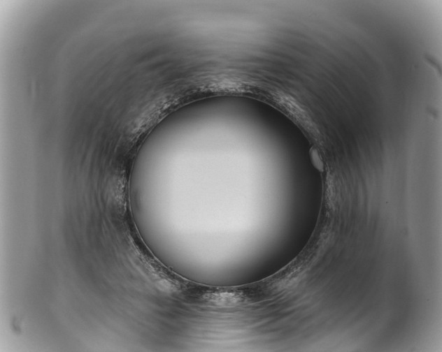 X0000101180449200807071249