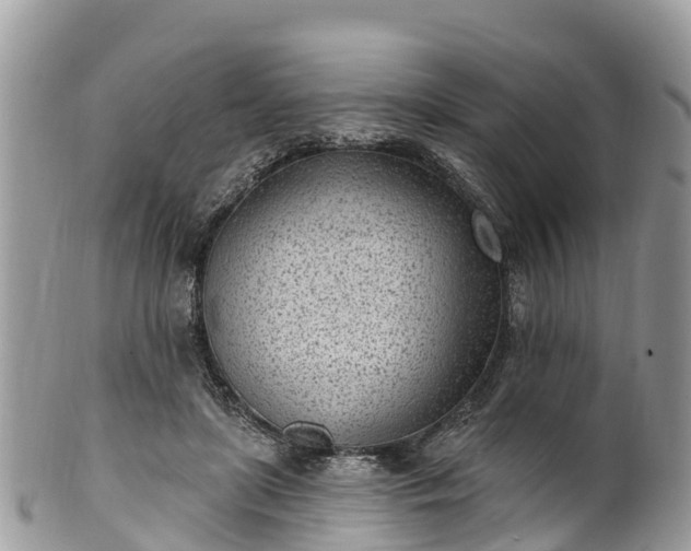 X0000101180451200807071249