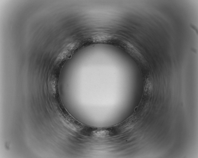 X0000101180452200807071249