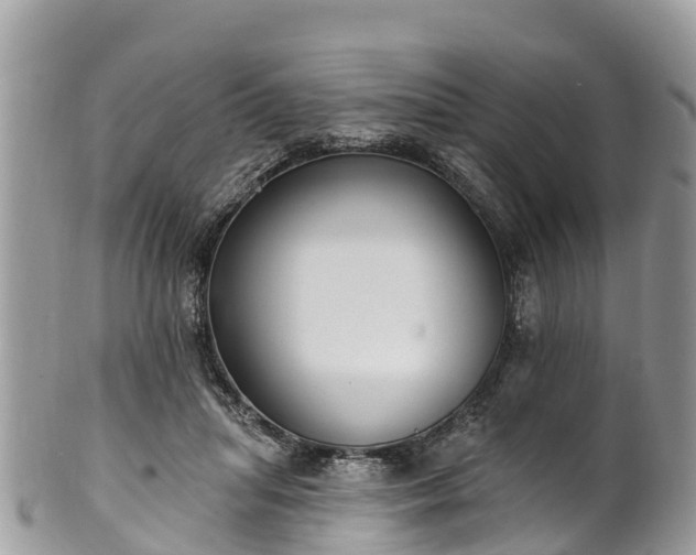 X0000101180455200807071249