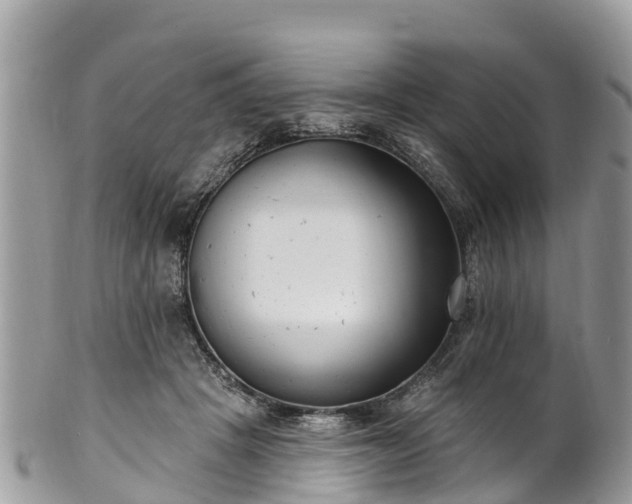 X0000101180457200807071249