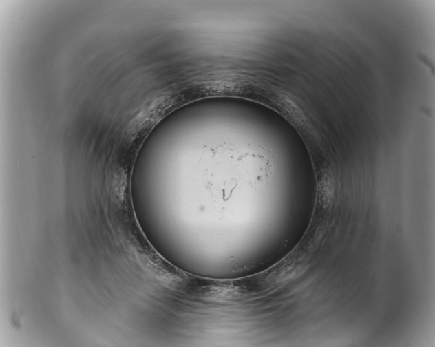 X0000101180458200807071249
