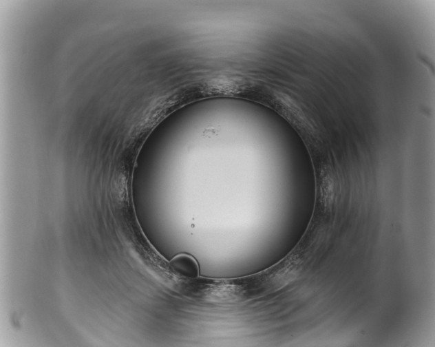 X0000101180459200807071249