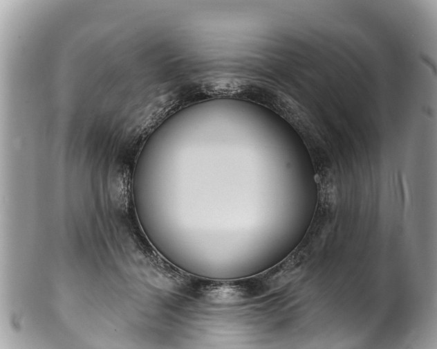X0000101180460200807071249