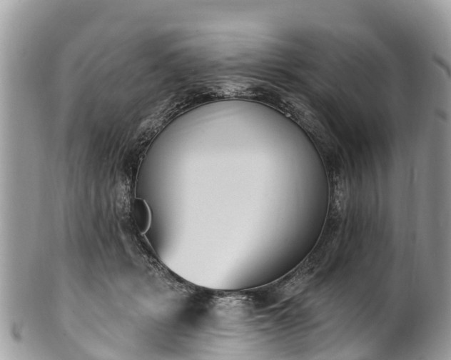 X0000101180461200807071249
