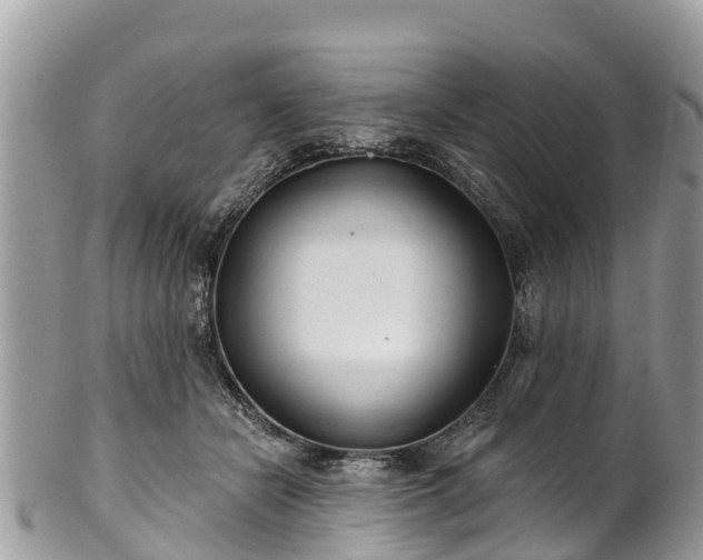 X0000101180462200807071249