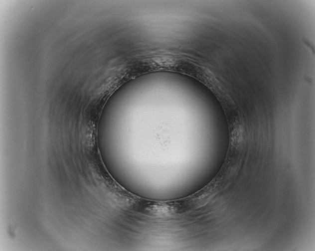 X0000101180464200807071249