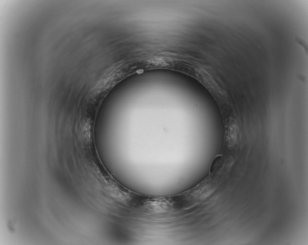 X0000101180466200807071249