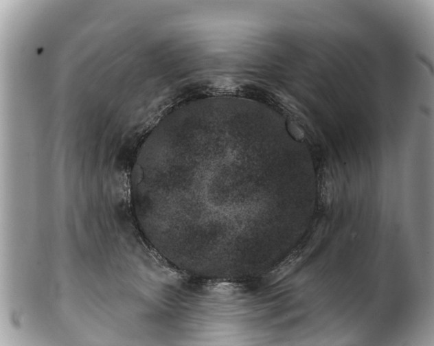 X0000101180467200807071249