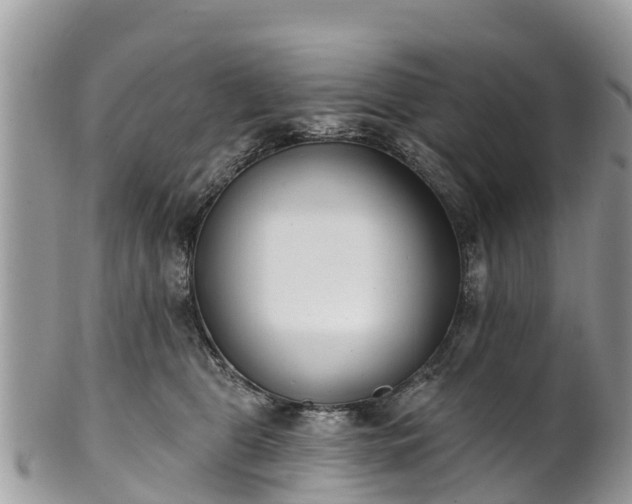 X0000101180469200807071249