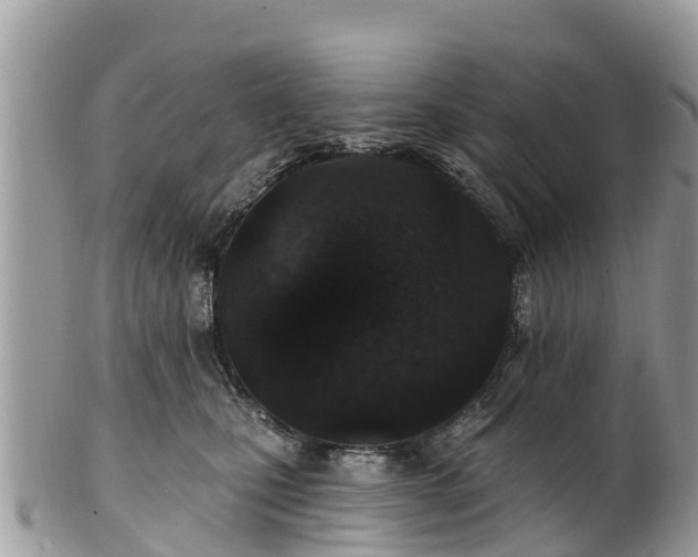 X0000101180471200807071249