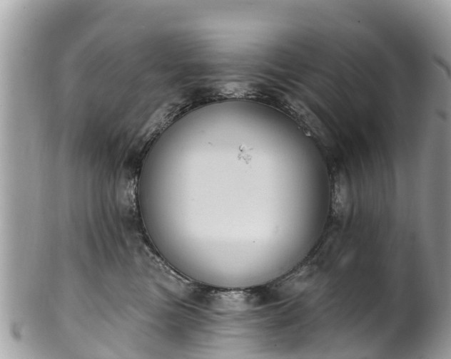 X0000101180473200807071249