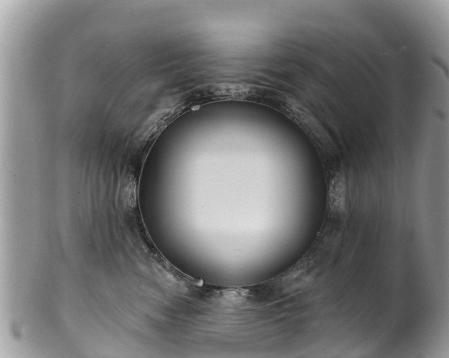 X0000101180474200807071249