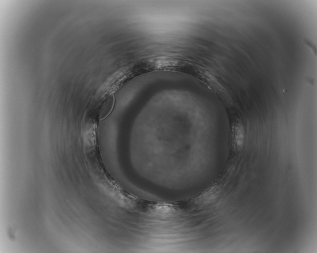 X0000101180475200807071249
