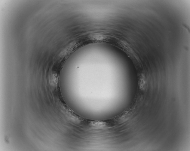 X0000101180476200807071249